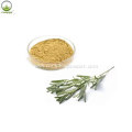 Rosmarinic Acid 20% Lemon Balm Leaf Extract Benefits